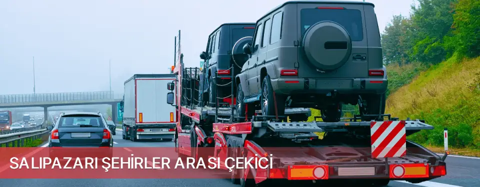 Salıpazarı İlçemi Şehirler Arası Çekici